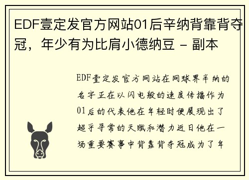 EDF壹定发官方网站01后辛纳背靠背夺冠，年少有为比肩小德纳豆 - 副本 (2)