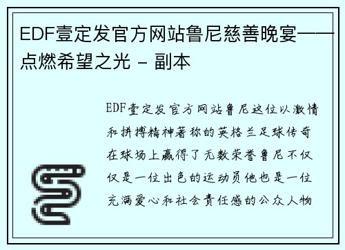 EDF壹定发官方网站鲁尼慈善晚宴——点燃希望之光 - 副本