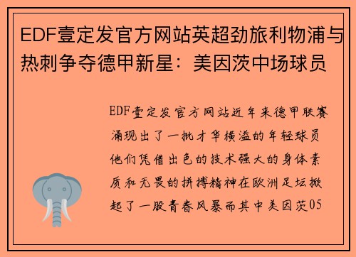 EDF壹定发官方网站英超劲旅利物浦与热刺争夺德甲新星：美因茨中场球员引发转会风暴 - 副本