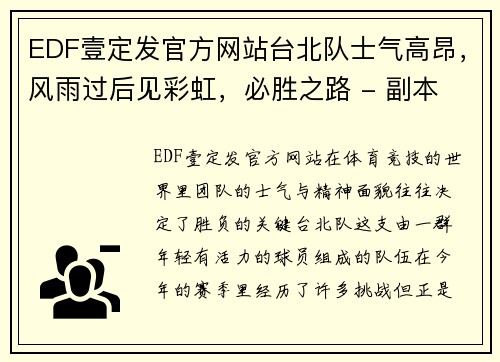 EDF壹定发官方网站台北队士气高昂，风雨过后见彩虹，必胜之路 - 副本